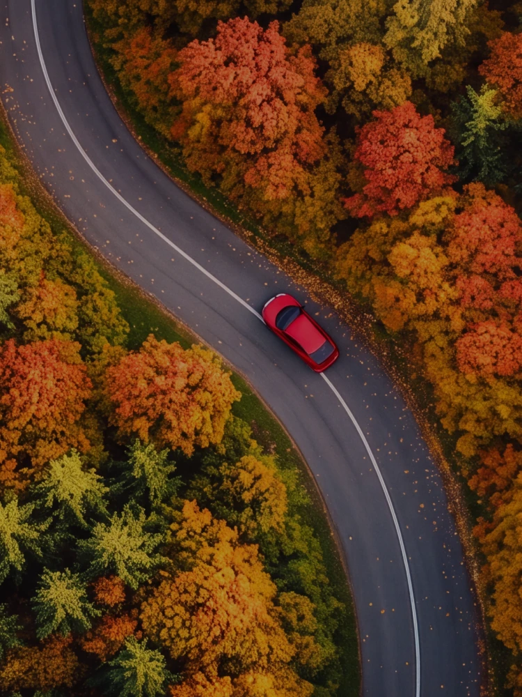 Automotive