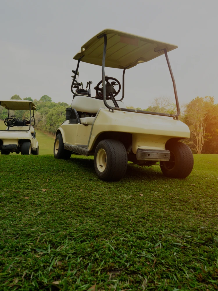 Golf carts